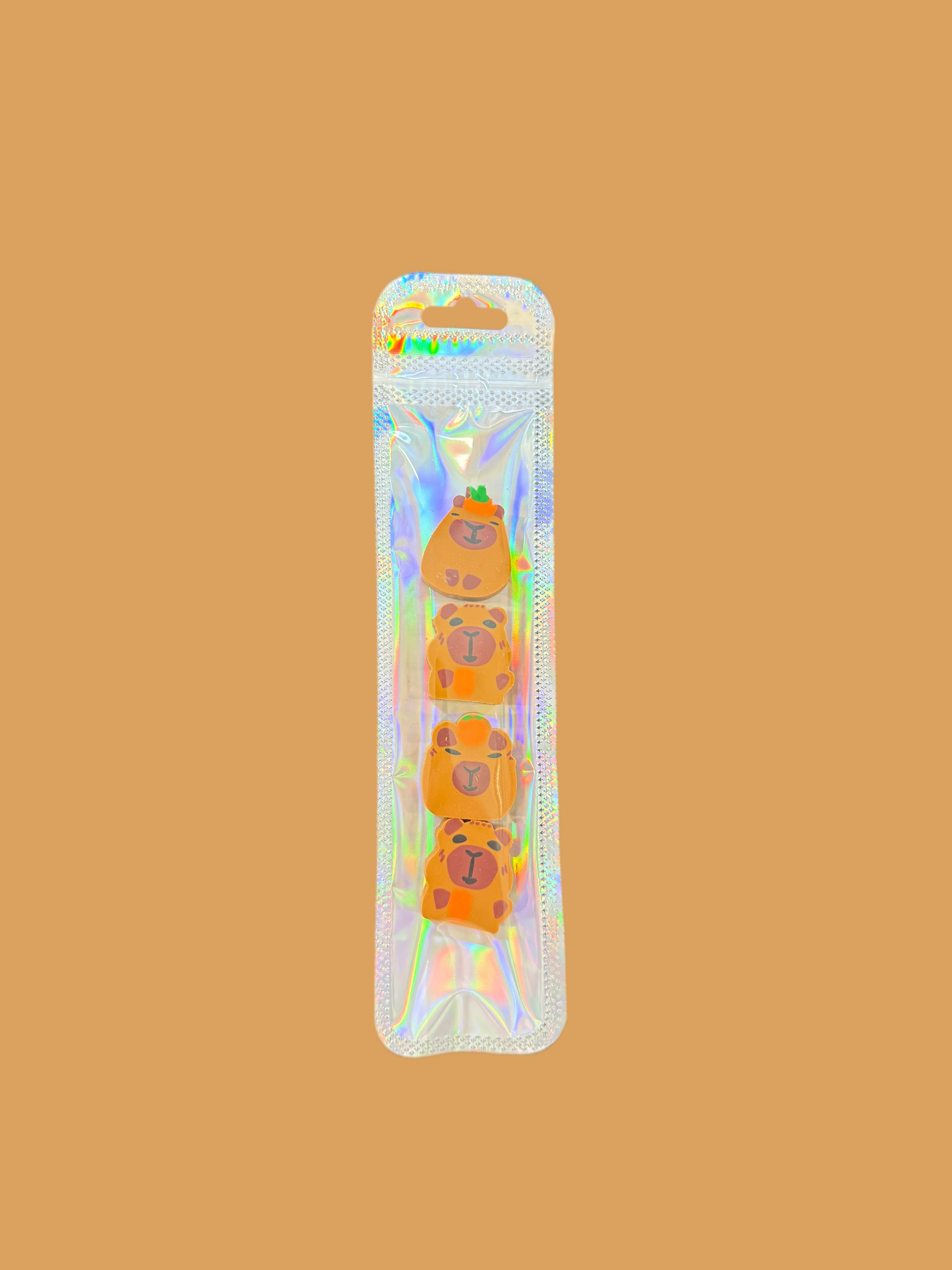 Lot de 4 Gommes Capybara